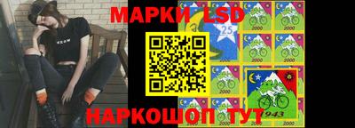 стафф Бийск