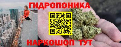 стафф Бийск