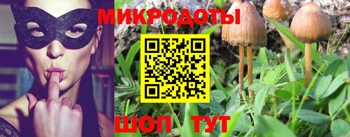 Галлюциногенные грибы MAGIC MUSHROOMS  Вход с VPN  Псилоцибиновые грибы MAGIC MUSHROOMS  Коломна 
